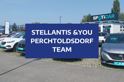 Team Perchtoldsdorf - Stellantis &You Österreich