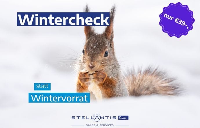 Wintercheck bei Stellantis &You!