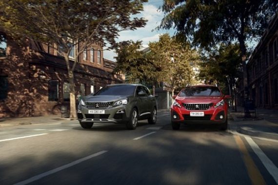 Peugeot 2008 o 3008, ¿Cuál elegir?