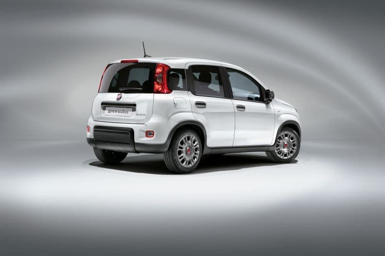 Fiat panda back